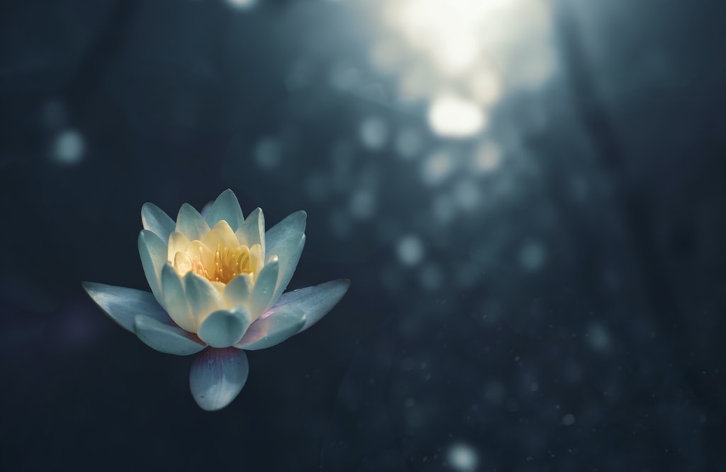 Mindfulness Practice