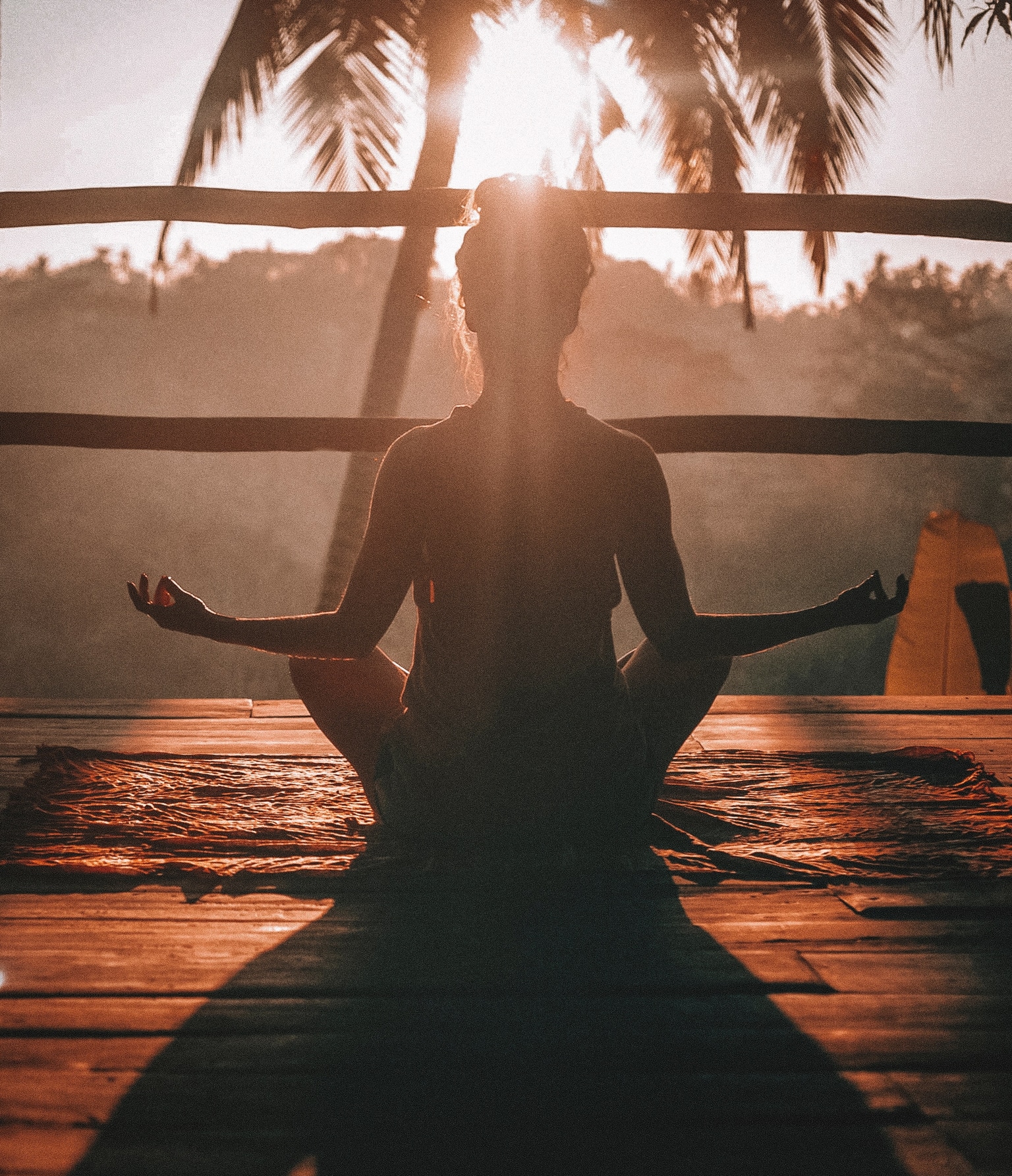 Mindfulness / Ενσυνειδητότητα